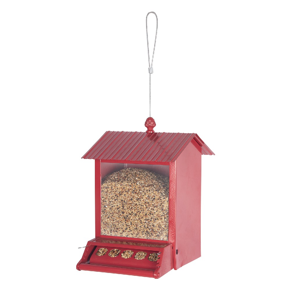 Squirrel-Proof Bird Feeders That Actually Work Anti-Squirrel Hanging Bird Feeder
